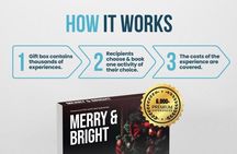 Merry & Bright 🎀 Limited Edition