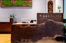 Acupuncture session in New York