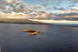 Molokini or Coral Gardens PM Snorkel Aboard Malolo