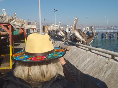 our to the Markets of Valparaiso: A Local Look at Chile’s Colourful Port City
