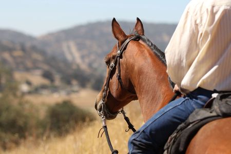 Horseback Ride Under the Hollywood Sign in Los Angeles for Two