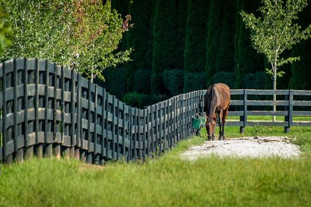 Horse Farm Tour of the Kentucky Bluegrass