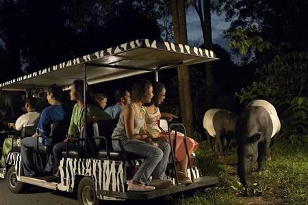 Singapore Night Safari park entrance ticket including tram ride