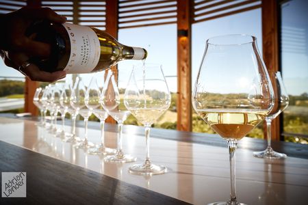 A Gourmet Indulgence at Montalto Winery