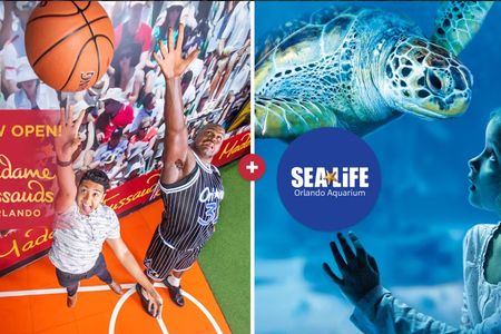 SEA LIFE Orlando Aquarium and Madame Tussauds combo ticket