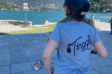 Lake Como: Electric Bike Tour