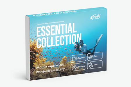 Essential Collection