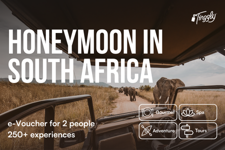 Honeymoon in South Africa
