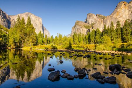 Yosemite National Park full-day tour from San Francisco