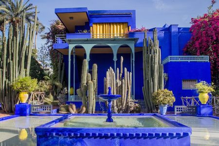 Botanical tour in Marrakech