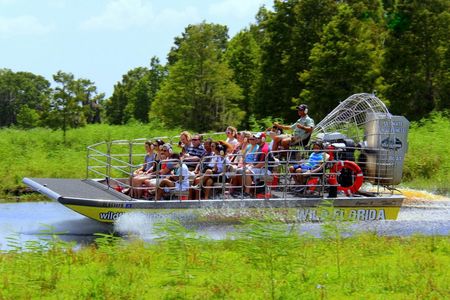 Wild Florida ultimate airboat ride with transportation from Orlando