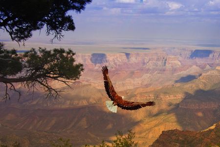 Grand Canyon West Rim with Hoover Dam photo stop