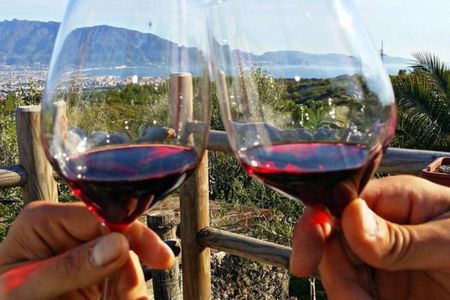 Wine tasting experience on Mount Vesuvius with lunch