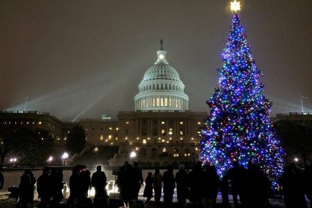 DC holiday lights tour