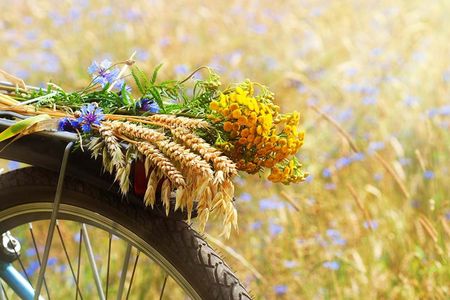 Chianti e-bike tour from San Gimignano with typical lunch and wine tasting