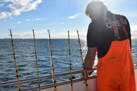 Sea fishing tour from Reykjavik