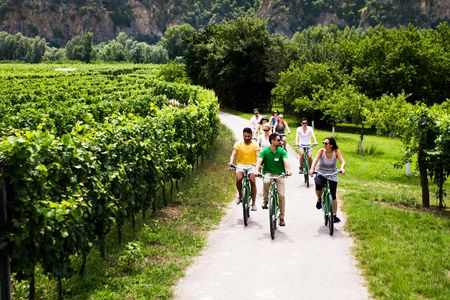 Wachau Winery Bike Tour