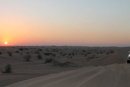 Desert safari and dinner from Abu Dhabi