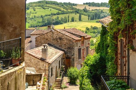Trip to Albi and Cordes Sur Ciel from Toulouse