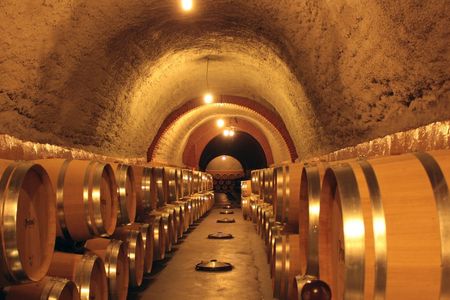 Wine experience with castles, medieval cities or cathedrals guided tour from Madrid