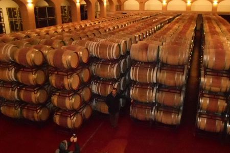Ávila and Rueda wine tour from Madrid