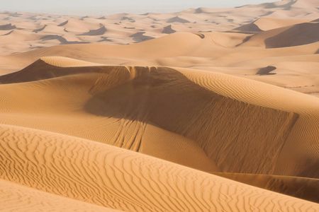 Dubai morning desert safari with camel ride