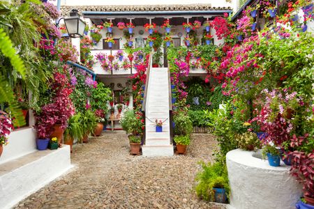 Tickets and guided tour of the authentic patios of Córdoba