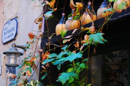 Wine tasting in Monterosso