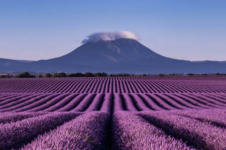 Lavender tour to Valensole from Marseille