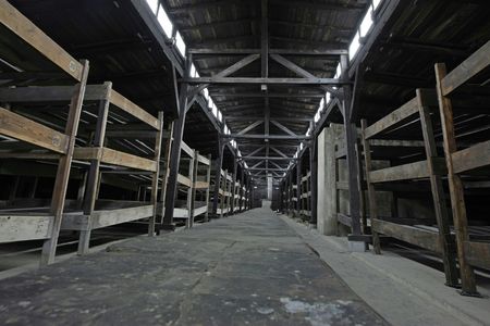 Full-Day Auschwitz-Birkenau and Oskar Schindler Factory Tour from Krakow