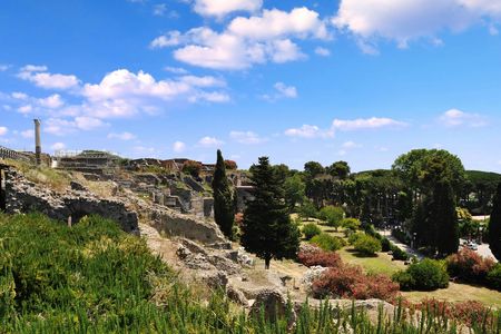 Daily tour to Pompeii with transportation