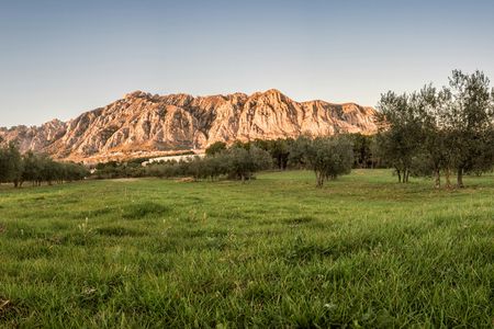Small group cava and wine tasting day trip from Barcelona