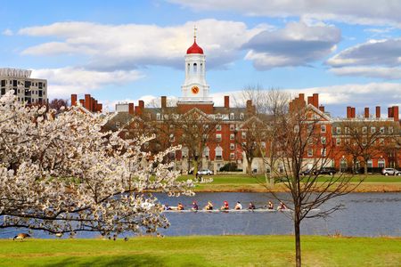Harvard Square food tour