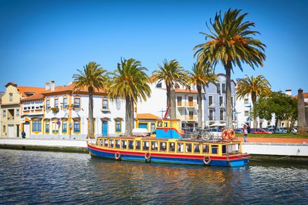 Aveiro and Coimbra small group tour from Porto