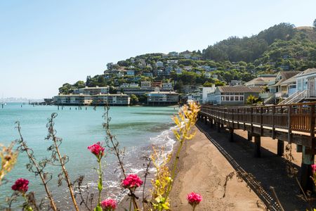 Muir Woods and Sausalito half-day tour