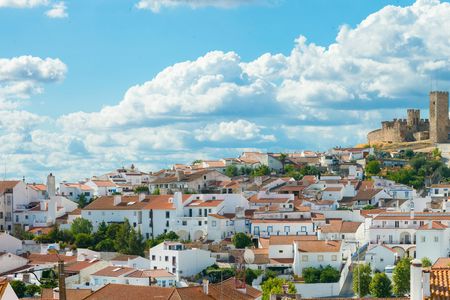 Evora and Monsaraz private tour from Lisbon with wine tasting and gastronomy