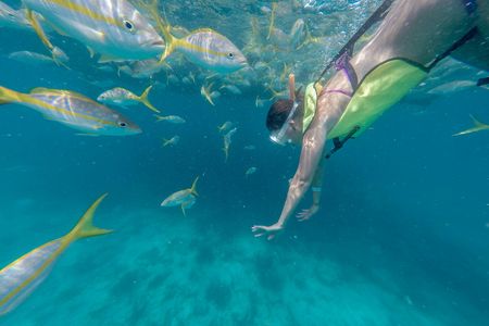 Key West morning reef snorkel