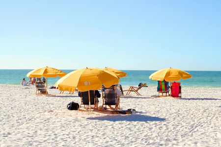 Clearwater Beach: roundtrip transportation from Orlando with lunch