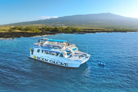 Deluxe snorkel and dolphin watch