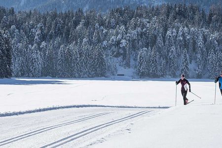 Lapland cross-country ski experience