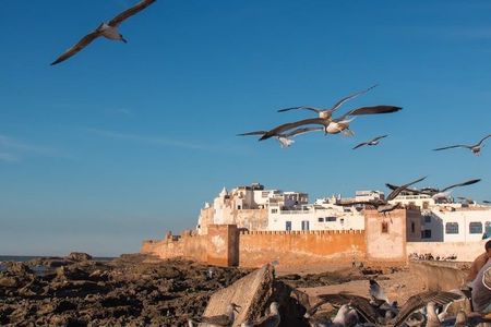 Essaouira day trip with optional guide from Marrakesh
