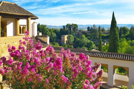 Alhambra morning guided tour with skip-the-line tickets and optional transport