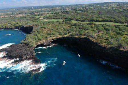Hawaii whale watching