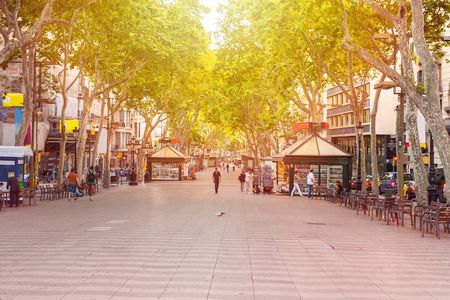 Barcelona gothic quarter private tour with optional visit of the Picasso Museum