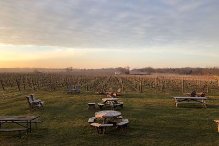 Wine tasting day trip from NYC