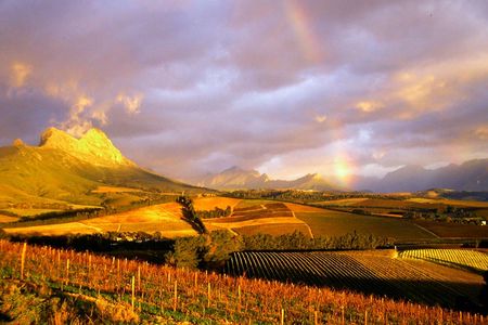 Cape Winelands full-day tour