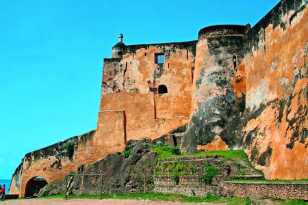 Mombasa full-day city tour and Haller Park