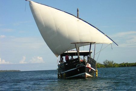 Funzi and Kinazini Islands dhow cruise