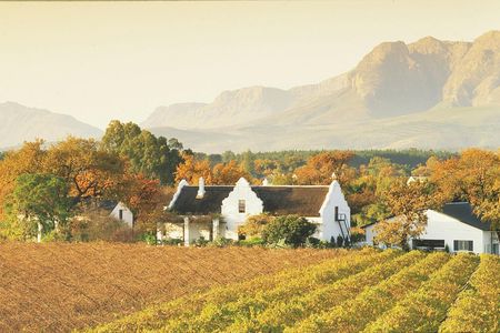 Cape Winelands Half-Day Tour from Cape Town