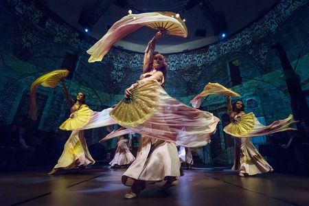 Rhythm of the dance show
